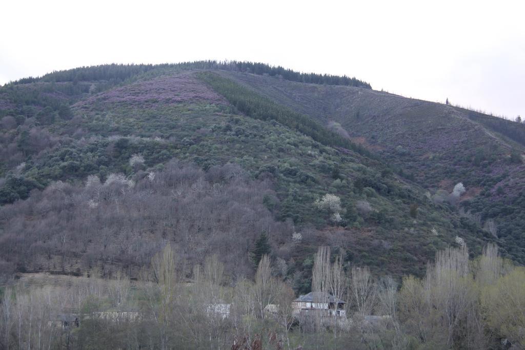 Venecia Bed&Breakfast Villafranca Del Bierzo Exterior photo